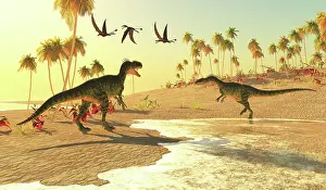 Pterosaur: Monolophosaurus dinosaurs search for prey along