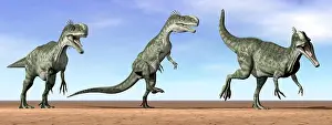 Monolophosaurus: Three Monolophosaurus dinosaurs standing in the desert