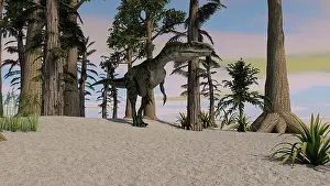 Monolophosaurus: Monolophosaurus in a prehistoric environment