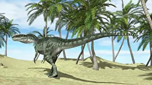 Monolophosaurus: Monolophosaurus in a prehistoric environment with palm trees