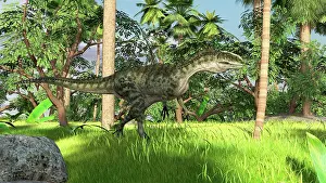 Monolophosaurus: Monolophosaurus in a prehistoric tropical landscape