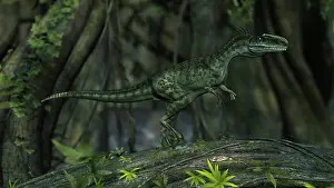 Monolophosaurus: Monolophosaurus in prehistoric woodlands