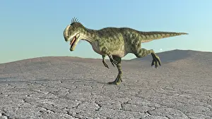 Monolophosaurus: Monolophosaurus running across a barren desert