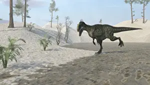 Monolophosaurus: Monolophosaurus running across a desert landscape