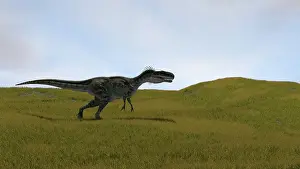 Monolophosaurus: Monolophosaurus running across a grassy field