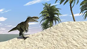 Monolophosaurus: Monolophosaurus running along the shore