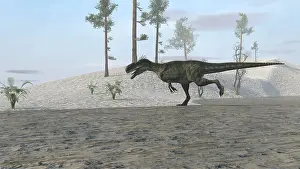 Monolophosaurus: Monolophosaurus running along the shoreline