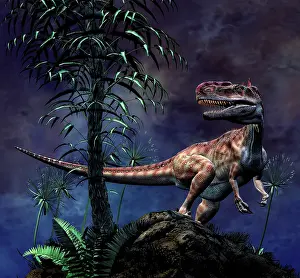 Monolophosaurus: Monolophosaurus was a theropod dinosaur from the Middle ?