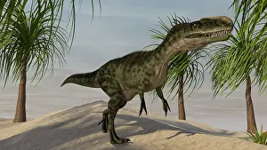 Monolophosaurus: Monolophosaurus in a tropical environment