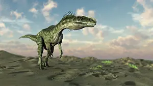 Monolophosaurus: Monolophosaurus walking across desert terrain