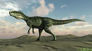 Monolophosaurus: Monolophosaurus walking across desert terrain
