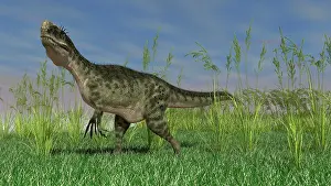 Monolophosaurus: Monolophosaurus walking across a grassy field