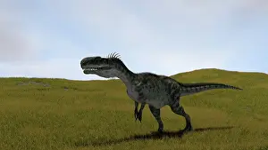 Monolophosaurus: Monolophosaurus walking across a grassy field