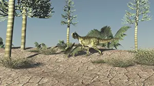 Monolophosaurus: Monolophosaurus walking across an open desert