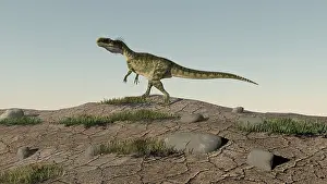 Monolophosaurus: Monolophosaurus walking across an open desert