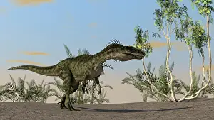 Monolophosaurus: Monolophosaurus walking across an open desert