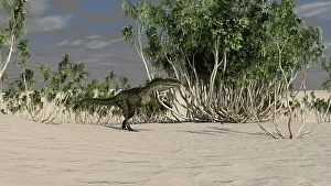 Monolophosaurus: Monolophosaurus walking across an open desert