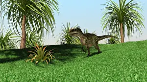 Monolophosaurus: Monolophosaurus walking across an open field