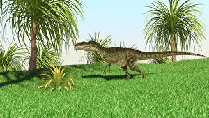 Monolophosaurus: Monolophosaurus walking across an open field