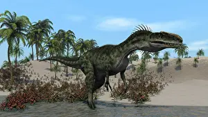 Monolophosaurus: Monolophosaurus walking along shallow water