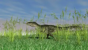 Monolophosaurus: Monolophosaurus walking through tall grass