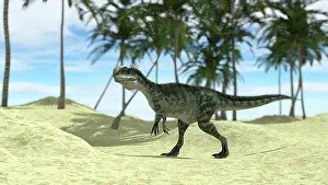 Monolophosaurus: Monolophosaurus walking in a tropical environment