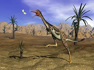 Mononychus: Mononykus dinosaur chasing a dragonfly in the desert