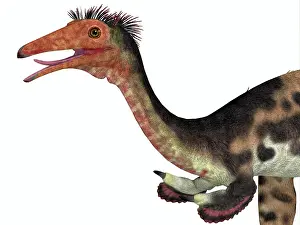 Mongolia: Mononykus dinosaur head
