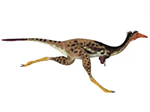 Mongolia: Mononykus dinosaur, side profile