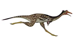 Mononychus: Mononykus dinosaur running