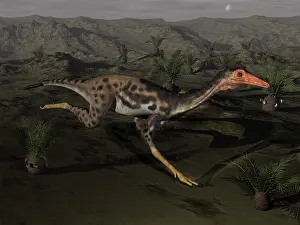 Mononychus: Mononykus dinosaur running at night