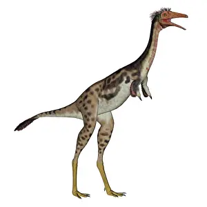 Mononychus: Mononykus dinosaur standing