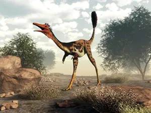 Mononychus: Mononykus dinosaur walking in the desert