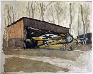 Cunningly: MONOPLANE HIDDEN IN TREE