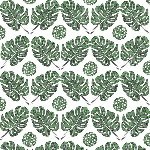 Cheese: Monstera deliciosa leaf pattern