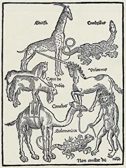1487: Monsters of Asia