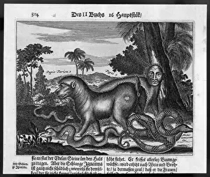 Guatemala: Monsters of Guatemala