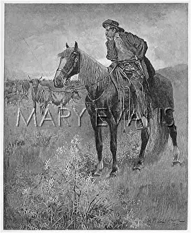 Lassoo: MONTANA COWBOY