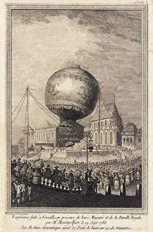 Bois: Montgolfier balloon ascent, Versailles
