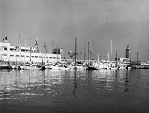 Alexander Brims: MONTGOMERY DOCK