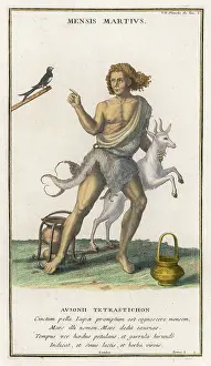 Magpie: MONTH OF MARCH C18TH