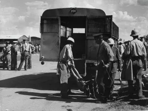 Sharpeville: Five Months Nightmare - Sharpeville massacre