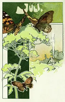 Alighting: Months of the year. July
