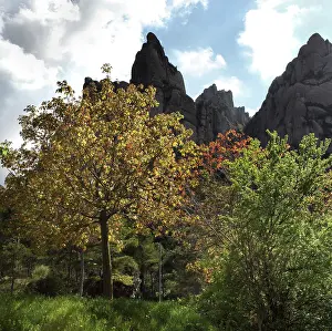 Baix: Montserrat, Catalonia, Spain