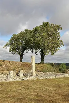 Alesia: Monument to Ucuetis, MuseoParc Alesia, Alise-Sainte-Reine