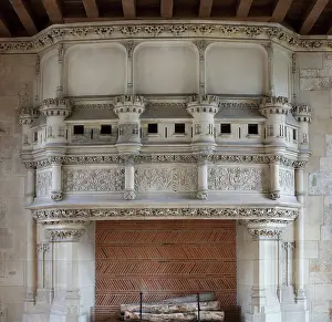 Feasts: Monumental fireplace, Palais Jacques Coeur, Bourges, France