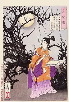 Plum: The Moon Glimmers like Bright Snow