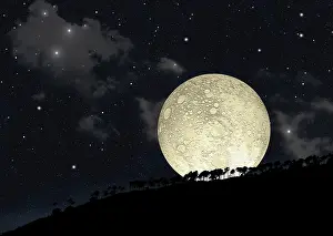Craters: A full moon rising behind a row of hilltop trees