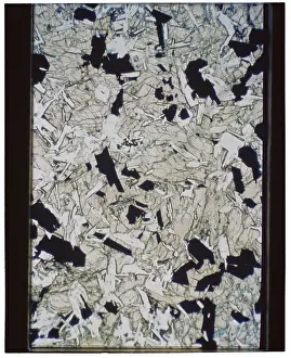Microscopy: Moon Rock Section