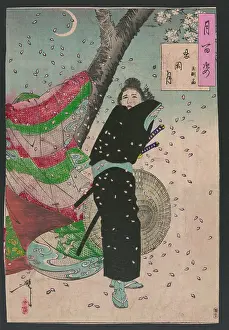 Startled: Moon over Shinobugaoka